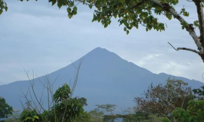 El área del parque Sumaco conserva las cuencas altas de varios ríos como el Napo. Foto: La Hora