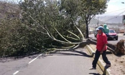 Foto: Ecuador Inmediato