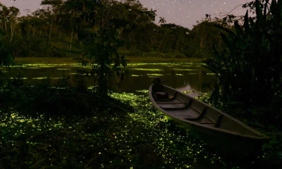 La reserva es ideal para los amantes del ecoturismo / Foto: El Oriente