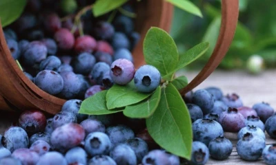 Principales noticias de Ecuador hoy - 18 de febrero de 2026 / Foto: cortesía Camae