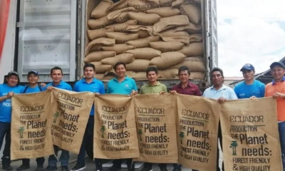 El envío cumple con los requisitos del Reglamento de la Unión Europea sobre Productos Libres de Deforestación / Foto: cortesía