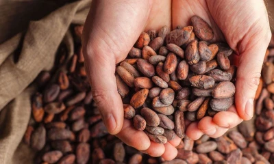 Equivale a un descenso del 0,77 % respecto a la jornada anterior / Foto: cortesía