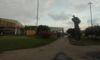 Lago Agrio perdió 17.7 mil hectáreas de bosque primario húmedo / Foto: El Oriente