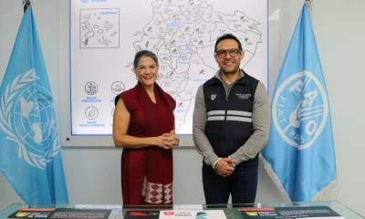 Se han reportado casos en Haití y República Dominicana/ Foto: cortesía Agrocalidad