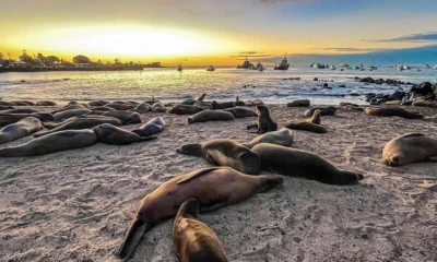 El Banco Mundial acompañó este proceso a través de diversos estudios y proyectos / Foto: cortesía Banco Mundial