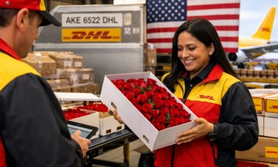 El sector florícola ecuatoriano enfrenta mayores exigencias en logística y tiempos de distribución, particularmente hacia Estados Unidos / Foto: cortesía DHL