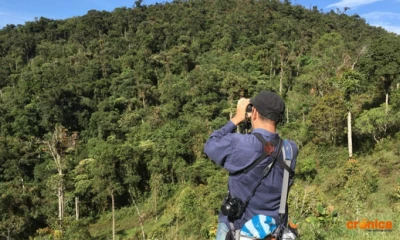 El objetivo es impulsar la conservación de los bosques y su biodiversidad. Foto: Crónica