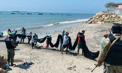 Los controles se realizan en el mar, ríos, carreteras, mercados y centros de acopio / Foto: cortesía MAGP