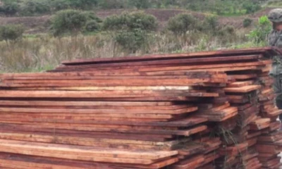 La madera fue incautada por personal de las Fuerzas Armadas. Foto: El Telégrafo
