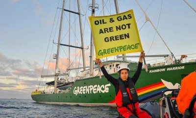 Los 300 millones de dólares que solicita ET ponen en peligro la continuidad de la oficina de Greenpeace / Foto: cortesía Greenpeace