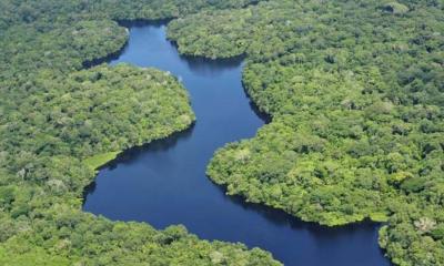 El trabajo forzado es parte integral de actividades como la deforestación, la ganadería, la minería ilegal y el tráfico de madera / Foto: cortesía Fundación Aquae