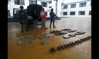 El conductor del automóvil fue detenido para continuar con las respectivas investigaciones / Foto: cortesía Policía Nacional 