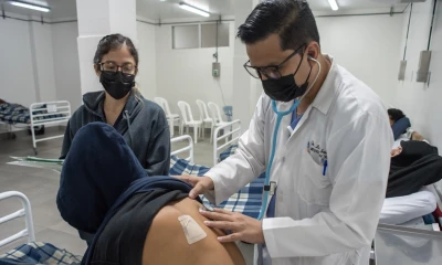 "El hallazgo subraya la expansión geográfica del virus Oropouche y su relevancia para la salud pública en América Latina", alerta el estudio/ Foto: cortesía EFE