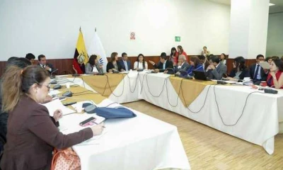 La secretaria técnica, Katherine Argotty, lo dio a conocer durante una comparencia en la Asamblea. Foto: Expreso