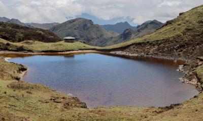 Según la investigación, el 80 % de los humedales mapeados corresponde a bosques inundables / Foto: cortesía Fundación EcoCiencia