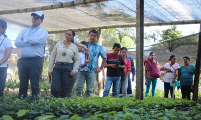 Durante los 32 meses de trabajo se logró la plantación de 46.140 árboles / Foto: cortesía MAATE