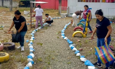 El objetivo es evitar posibles brotes de dengue./ Foto: cortesía MIES