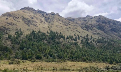 En septiembre, decenas de miles de personas se manifestaron en Cuenca para expresar su rechazo al proyecto / Foto: cortesía Forbes Ecuador