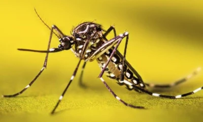 La alerta sanitaria se produjo luego del fallecimiento de un niño de 11 años, oriundo del cantón Joya de los Sachas / Foto: cortesía