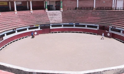 Corte Constitucional estudia demanda para restaurar corridas de toros en Quito / Foto: EFE