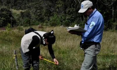 ONGs que invierten millones de dólares en conservación han tenido que suspender actividades / Foto: cortesía Mi Putumayo