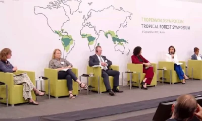 Ecuador propone que el mercado global financie productos libres de deforestación / Foto: cortesía del Ministerio de Ambiente