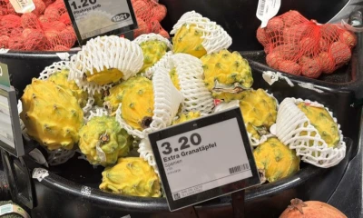 Ecuador envió al exterior más de 52.800 toneladas de pitahaya / Foto: El Oriente