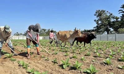 Según el informe del BID, las exportaciones de Suramérica bajaron un 0,3 %, arrastradas por las caídas de Bolivia, Venezuela, Argentina, Ecuador, Perú, Colombia y Uruguay / Foto: cortesía EFE