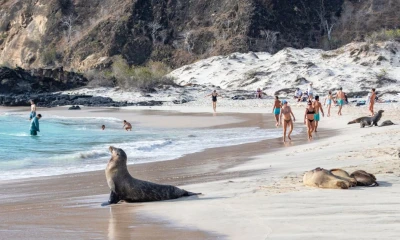 El 55 % de los turistas llegados a las Islas Galápagos fueron extranjeros (154.489) / Foto: cortesía Parque Nacional Galápagos