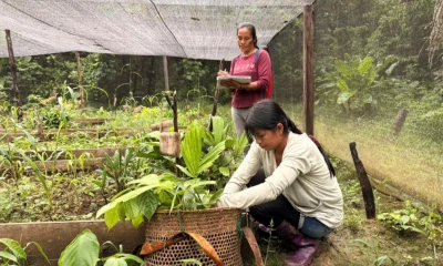 Uno de los avances más significativos ha sido la recuperación del wayuri/ Foto: cortesía Fundación Jallinga