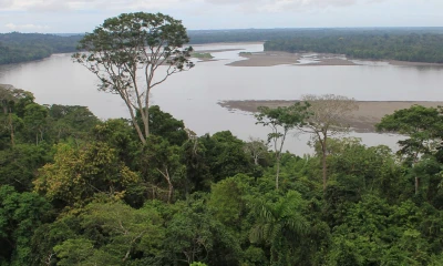El 22 de abril de 2009, la Asamblea General de las Naciones Unidas aprobó una resolución declarando esa fecha como el Día Internacional de la Tierra. / Foto: El Oriente