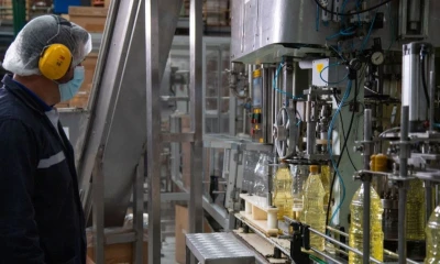 La certificación reconoce a organizaciones que implementan proyectos con impactos verificables en los ámbitos ambiental, social y económico / Foto: cortesía