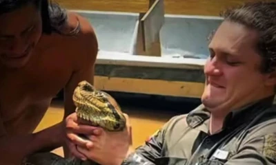 De acuerdo con la UICN, la anaconda verde está catalogada a nivel global como Preocupación Menor / Foto: cortesía Sucúa TV 