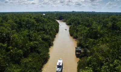 El programa Amazonía Siempre del BID cuenta con el apoyo de países como Dinamarca, Suecia y Noruega / Foto: cortesía Banco Interamericano de Desarrollo