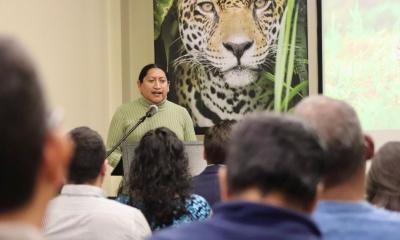 En Ecuador habitan aproximadamente 1.200 jaguares (Panthera onca) / Foto: cortesía MAATE