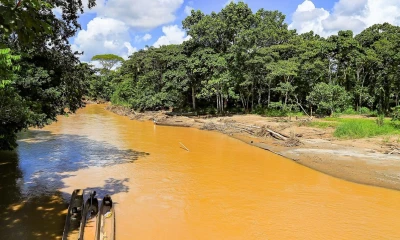 La provincia amazónica de Pastaza está ubicada en la Región Nororiente del Ecuador siendo su capital la ciudad de Puyo / Foto: El Oriente