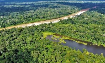 Es la conclusión del estudio publicado por la Red Amazónica de Información Socioambiental (RAISG) / Foto: cortesía