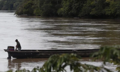 Fueron deforestadas 27.052 hectáreas en la región amazónica entre enero y marzo de este año / Foto: EFE