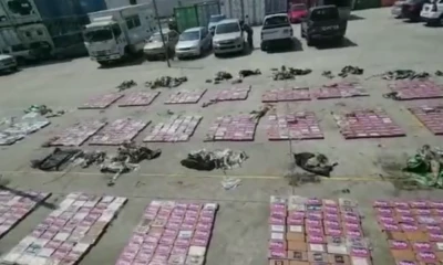 La Policía incautó más de 1,1 toneladas de cocaína que se dirigían a Bélgica / Foto: Cortesía Policía Nacional