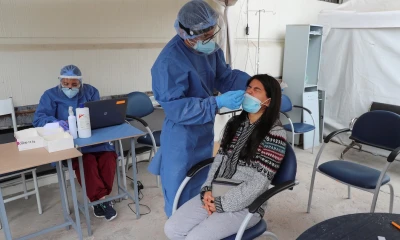 Ecuador registra 1.235 nuevos casos de covid-19 y acumula 554.436 positivos / Foto: EFE