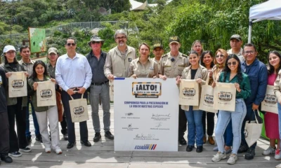 Entre 2023 y 2025 las autoridades lograron retener 1.289 ejemplares de vida silvestre que eran mantenidos o comercializados de manera ilegal / Foto: cortesía MAE