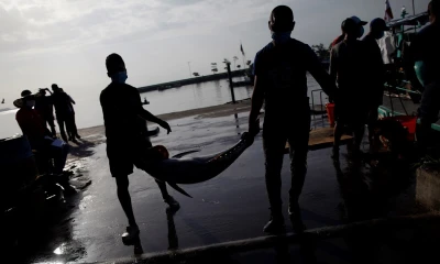 WWF pide a Gobierno de Ecuador acciones a favor de las poblaciones de atunes