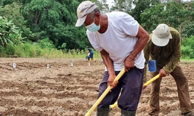 UE promueve práctica alimentaria sostenible a través de concurso en Ecuador  / Foto: Cortesía Ministerio de Agricultura