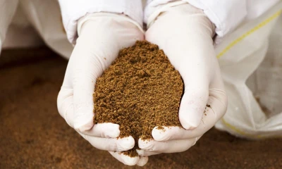 La harina de pescado, que incrementó sus exportaciones un 149,5 % / Foto: cortesía 