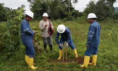 En el proyecto Mompiche (Esmeraldas) se hicieron 219 perforaciones. Foto: El Comercio 