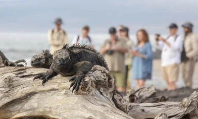 Desde que octubre de 2024 están vigentes las nuevas tasas de ingreso al Parque Nacional Galápagos / Foto: cortesía Parque Nacional Galápagos