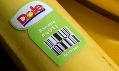 Luego de dos años muy duros por la pandemia del covid-19, las empresas en Ecuador empiezan a recuperarse para llegar a niveles prepandemia. / Foto: Shutterstock