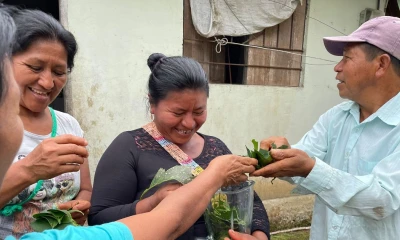  El uso de insumos orgánicos es promovido en Archidona / Foto: cortesía MAG