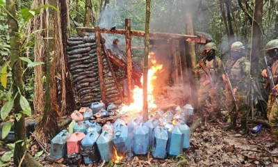 Colombia batió un nuevo récord llegando a las 253.000 hectáreas cultivadas en 2023 / Foto: cortesía Ejército ecuatoriano