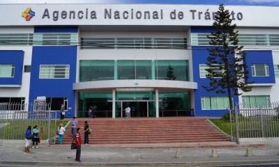 Esta reactivación permitirá restablecer aproximadamente el 80 % de los trámites que permanecían suspendidos / Foto: cortesía